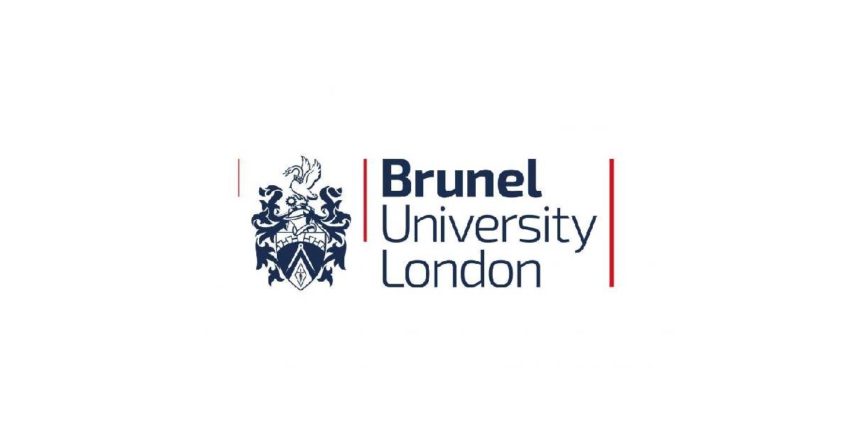 Brunel Internship