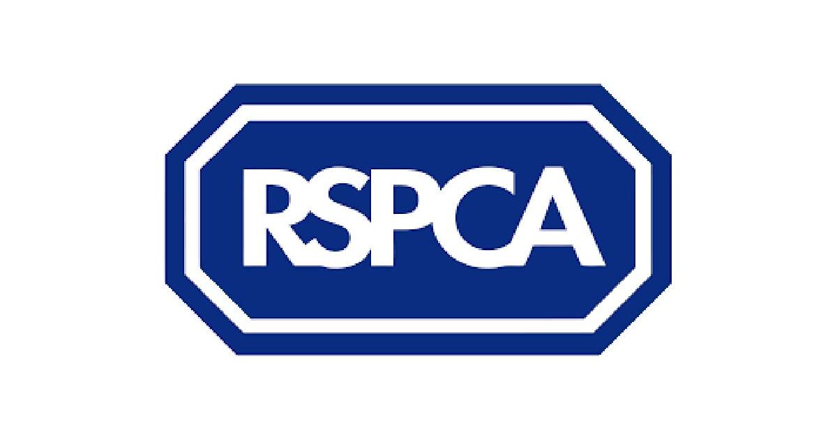 RSPCA Internship